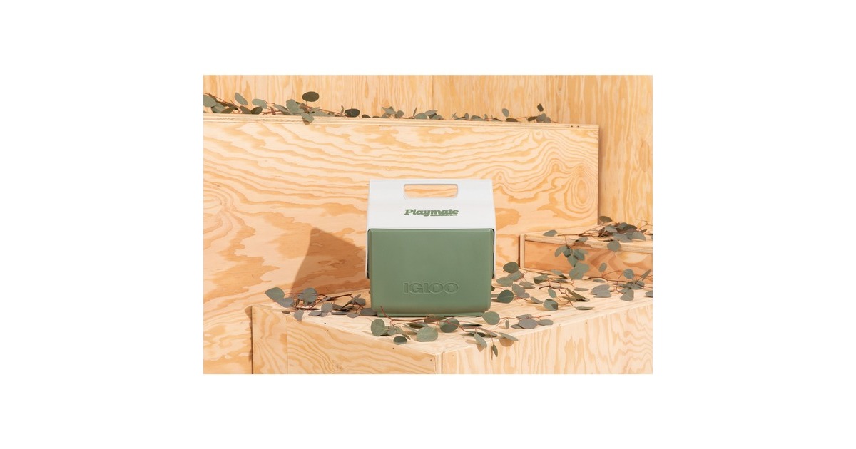 Igloo ECOCOOL Little Playmate Elite, Kühlbox(grün/weiß)