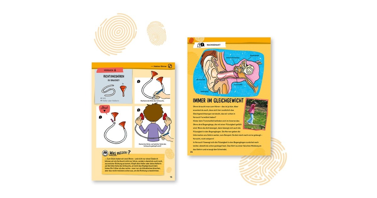 KOSMOS Mein erster Experimentierkasten - Körper & Sinne