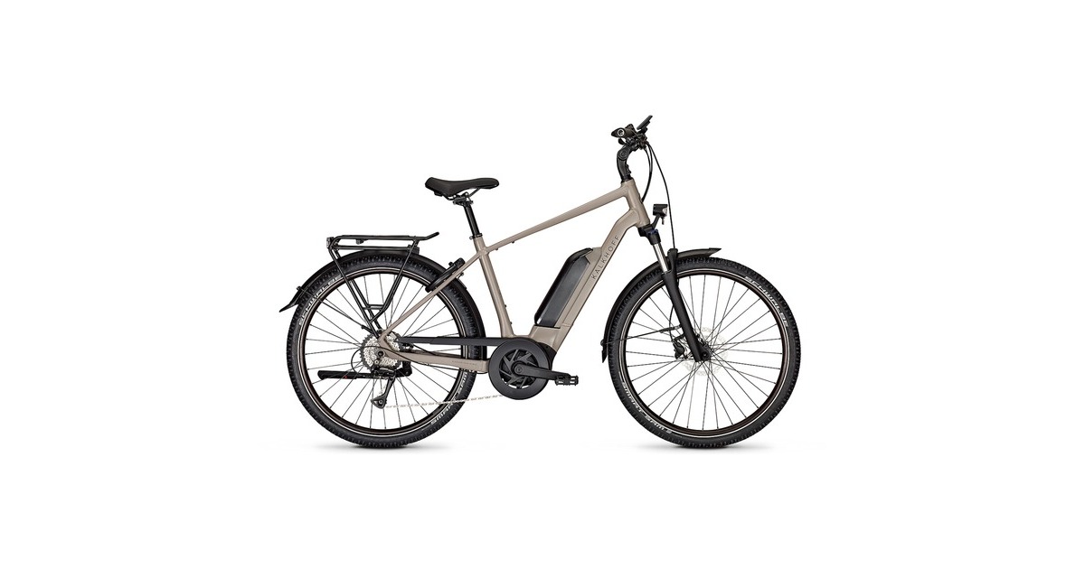 Kalkhoff Entice 1.B Move, Pedelec(grau, 27,5", 55 cm Rahmen)