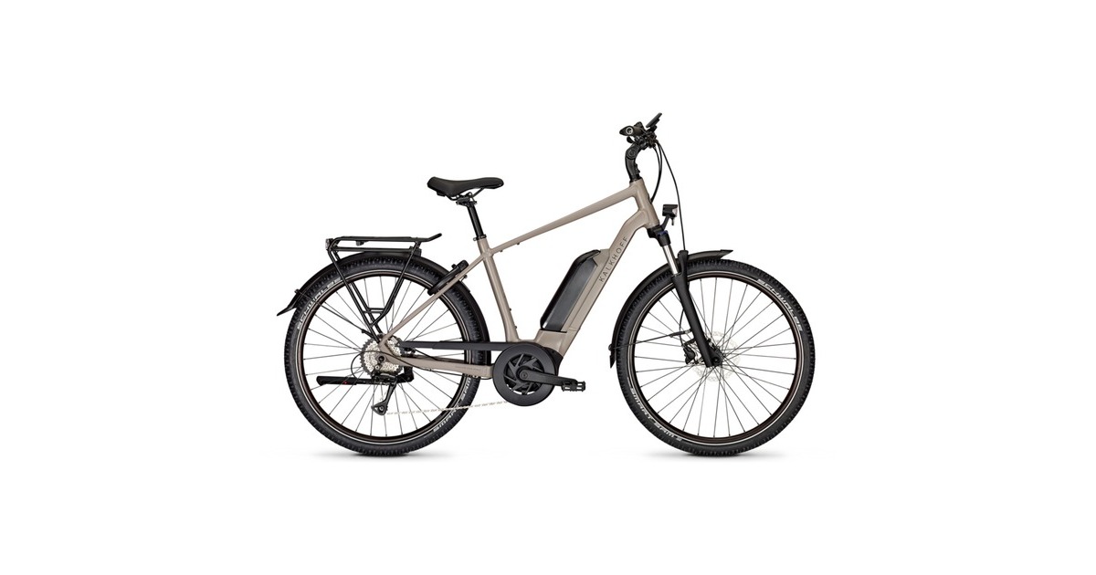 Kalkhoff Entice 1.B Move, Pedelec(grau, 27,5", 55 cm Rahmen)