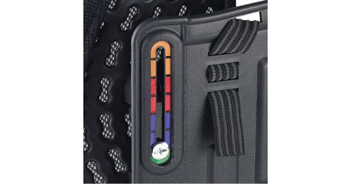 Kensington SmartFit Conform-Rückenstütze K60412WW(schwarz)