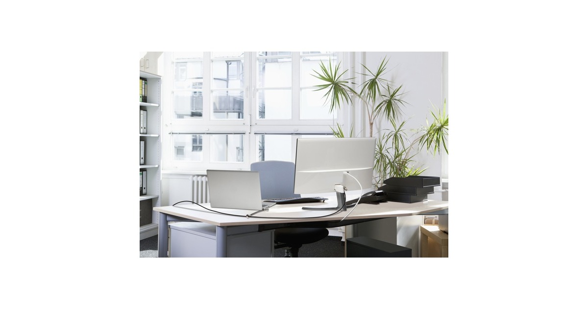 Kensington Universelles 3-in-1 Kabelschloss mit zwei Schließköpfen(schwarz)