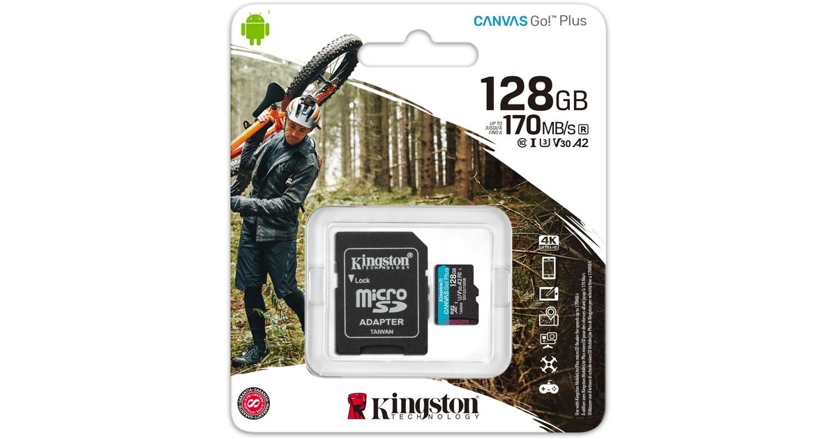 Kingston Canvas Go! Plus 128 GB microSDXC, Speicherkarte(schwarz, UHS-I U3, Class 10, V30, A2)