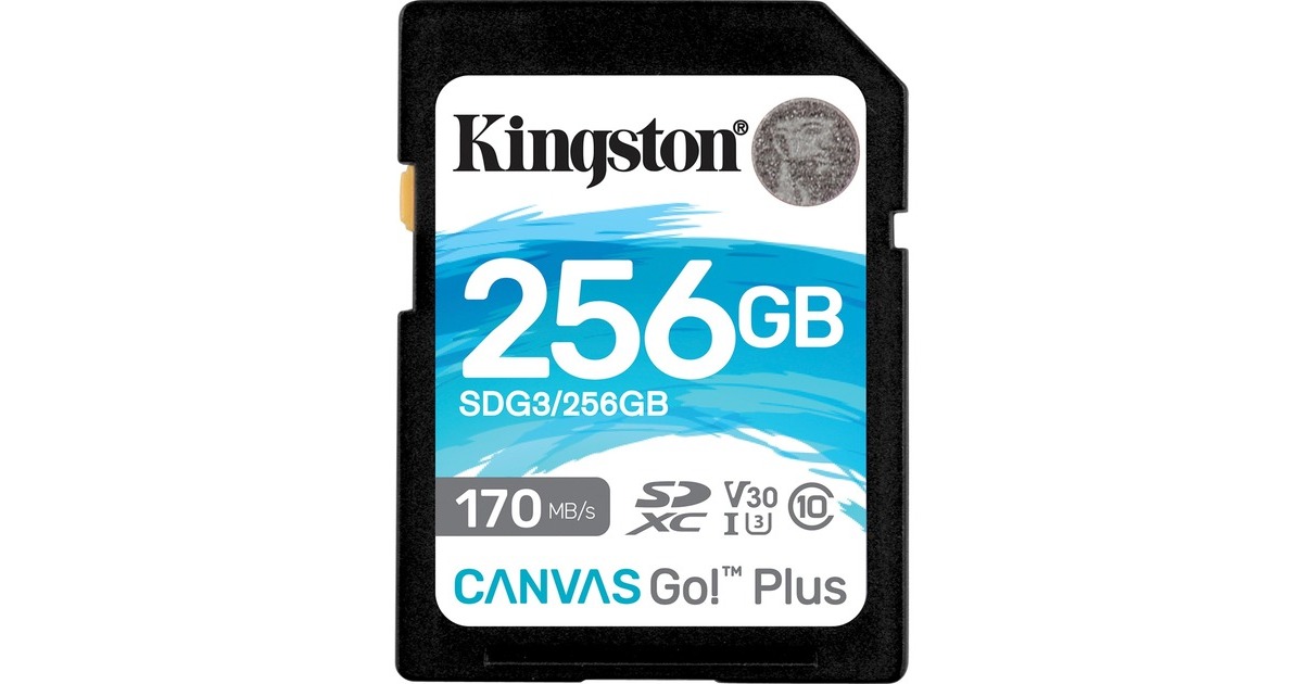 Kingston Canvas Go! Plus 256 GB SDXC, Speicherkarte(schwarz, UHS-I U3, Class 10, V30)
