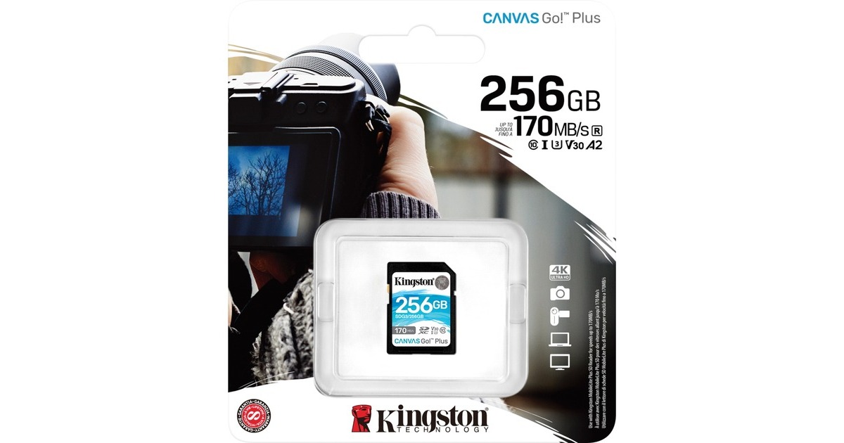 Kingston Canvas Go! Plus 256 GB SDXC, Speicherkarte(schwarz, UHS-I U3, Class 10, V30)