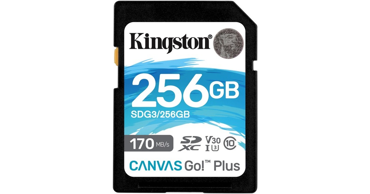 Kingston Canvas Go! Plus 256 GB SDXC, Speicherkarte(schwarz, UHS-I U3, Class 10, V30)