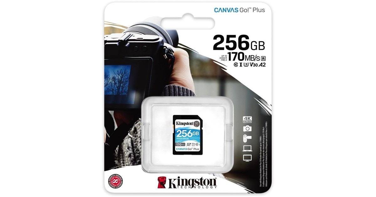 Kingston Canvas Go! Plus 256 GB SDXC, Speicherkarte(schwarz, UHS-I U3, Class 10, V30)