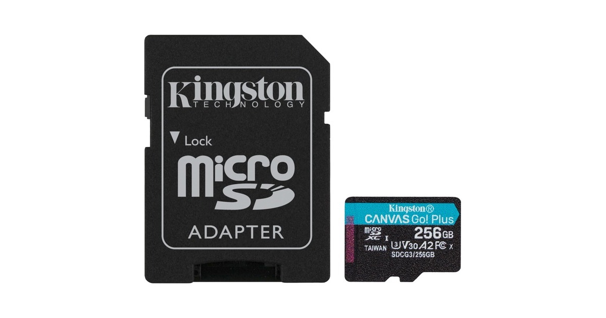 Kingston Canvas Go! Plus 256 GB microSDXC, Speicherkarte(schwarz, UHS-I U3, Class 10, V30, A2)