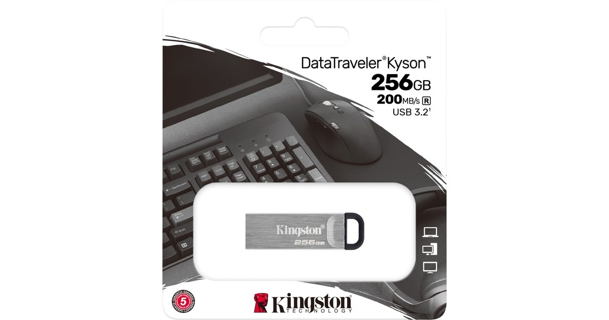 Kingston DataTraveler Kyson 256 GB, USB-Stick(silber, USB-A 3.2 Gen 1)