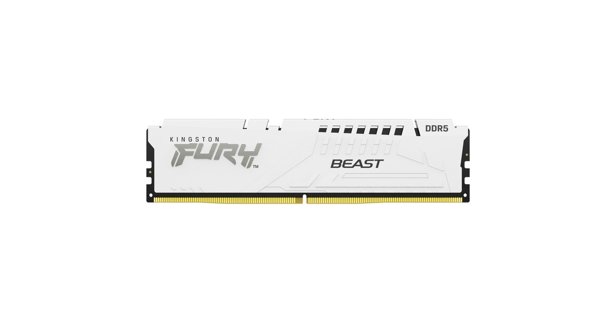 Kingston FURY DIMM 16 GB DDR5-5600, Arbeitsspeicher(weiß, KF556C40BW-16, Beast, INTEL XMP) Kingston FURY DIMM 16 GB DDR5-5600, Arbeitsspeicher(weiß, KF556C40BW-16, Beast, INTEL XMP)