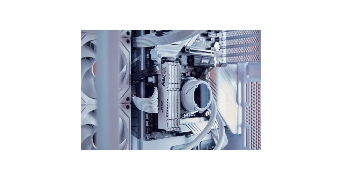 Kingston FURY DIMM 32 GB DDR5-6000, Arbeitsspeicher(weiß, KF560C36BWE-32, Beast, AMD EXPO)