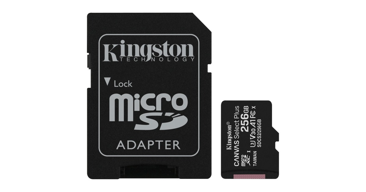 Kingston R100 256 GB microSDXC, Speicherkarte(schwarz, UHS-I U3, Class 10, V30, A2)