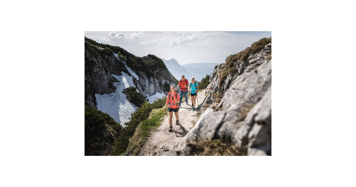 Komperdell Highlander Cork, Fitnessgerät(braun/silber, 1 Paar, 105-140 cm)