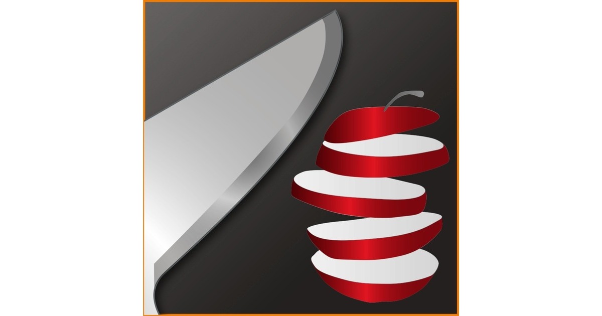 Krups Steffen Henssler Special Edition HZ 6568, Stabmixer(silber/dunkelgrau)