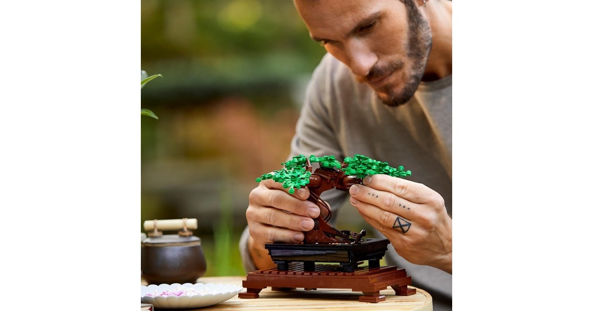 LEGO 10281 Creator Expert Bonsai Baum, Konstruktionsspielzeug