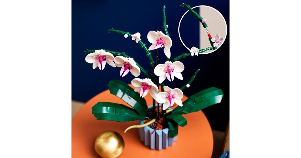 LEGO 10311 Creator Expert Orchidee, Konstruktionsspielzeug(Outlet)