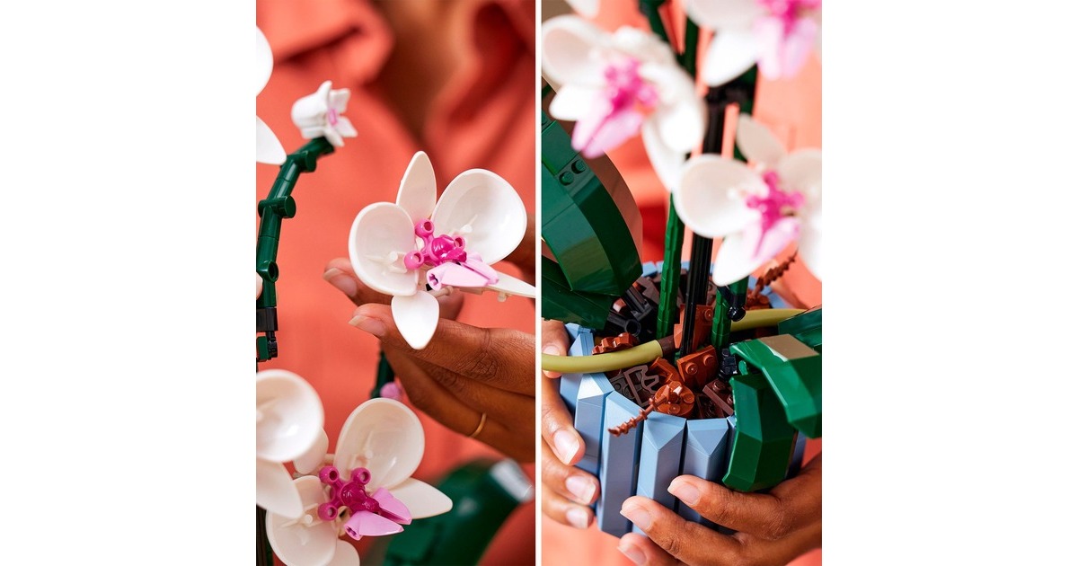 LEGO 10311 Creator Expert Orchidee, Konstruktionsspielzeug(Outlet)