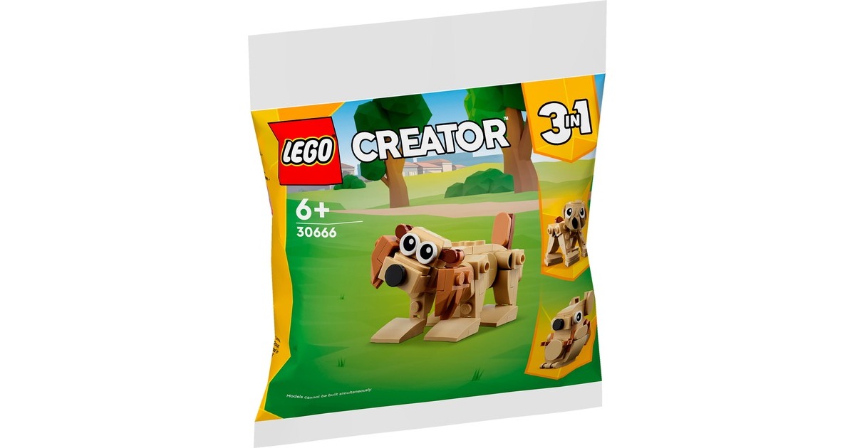 LEGO 30666 Creator 3-in-1 Geschenkset mit Tieren, Konstruktionsspielzeug