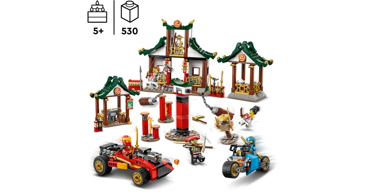 LEGO 71787 Ninjago Kreative Ninja Steinebox, Konstruktionsspielzeug