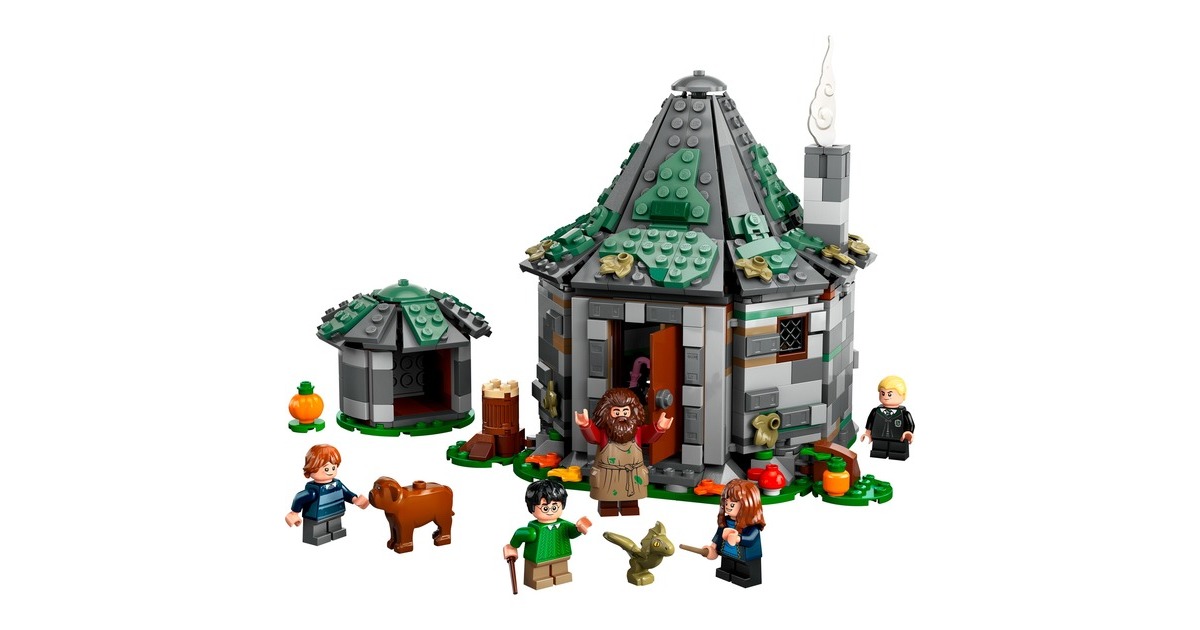 LEGO 76428 Harry Potter Hagrids Hütte: Ein unerwarteter Besuch, Konstruktionsspielzeug