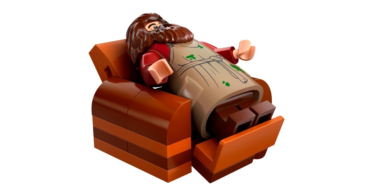 LEGO 76428 Harry Potter Hagrids Hütte: Ein unerwarteter Besuch, Konstruktionsspielzeug
