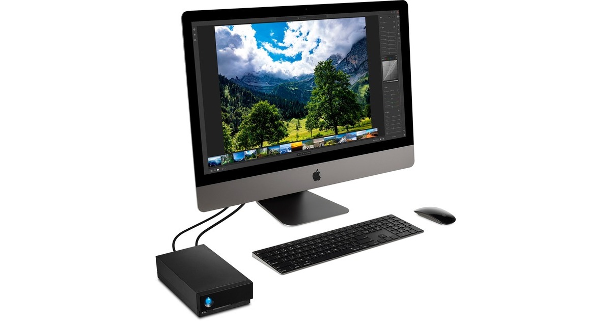 LaCie 1big Dock 20 TB, Externe Festplatte(schwarz, extern, 2x Thunderbolt 3)