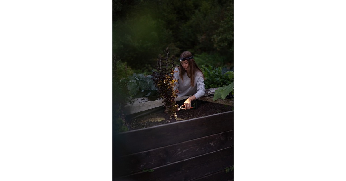 Ledlenser Stirnlampe H5R Core, LED-Leuchte(schwarz)