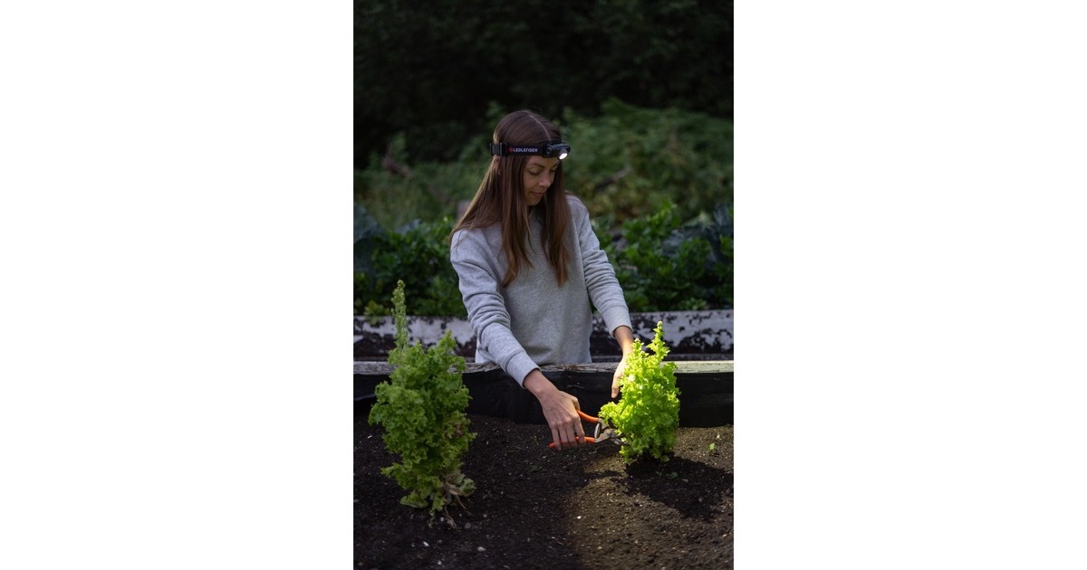 Ledlenser Stirnlampe H5R Core, LED-Leuchte(schwarz)