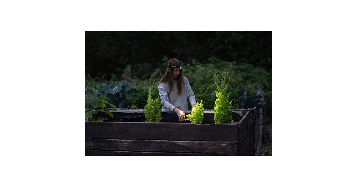 Ledlenser Stirnlampe H5R Core, LED-Leuchte(schwarz)