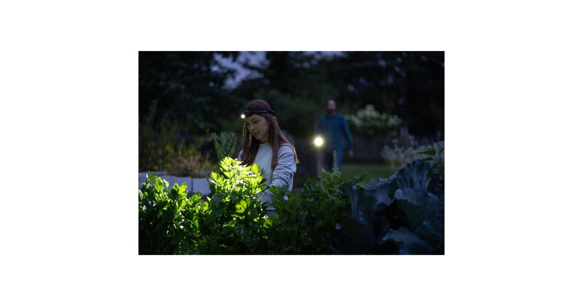 Ledlenser Stirnlampe H5R Core, LED-Leuchte(schwarz)