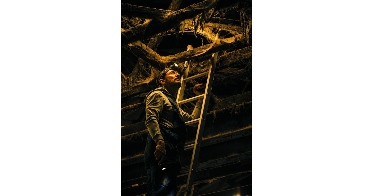 Ledlenser Stirnlampe H7R Work, LED-Leuchte(schwarz)