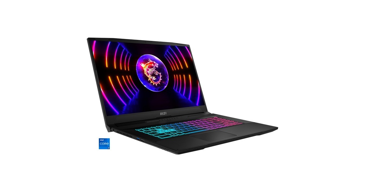 MSI Katana 17 B13VFK-069, Gaming-Notebook(schwarz, Windows 11 Home 64-Bit, 43.9 cm (17.3 Zoll) & 144 Hz Display, 1 TB SSD)
