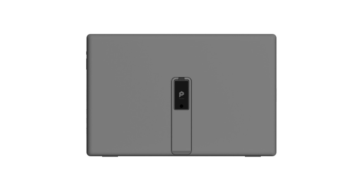 MSI PRO MP161DE E2, LED-Monitor(36.9 cm (15.6 Zoll), dunkelgrau, FullHD, IPS, USB-C, Mini-HDMI)