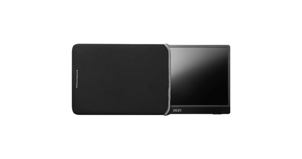 MSI PRO MP161DE E2, LED-Monitor(36.9 cm (15.6 Zoll), dunkelgrau, FullHD, IPS, USB-C, Mini-HDMI)