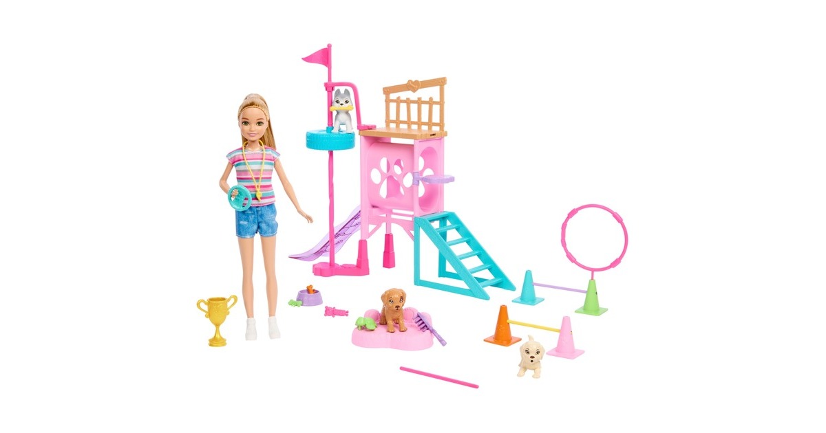 Mattel Barbie Family & Friends Stacie's Puppy Playground Spielset, Puppe