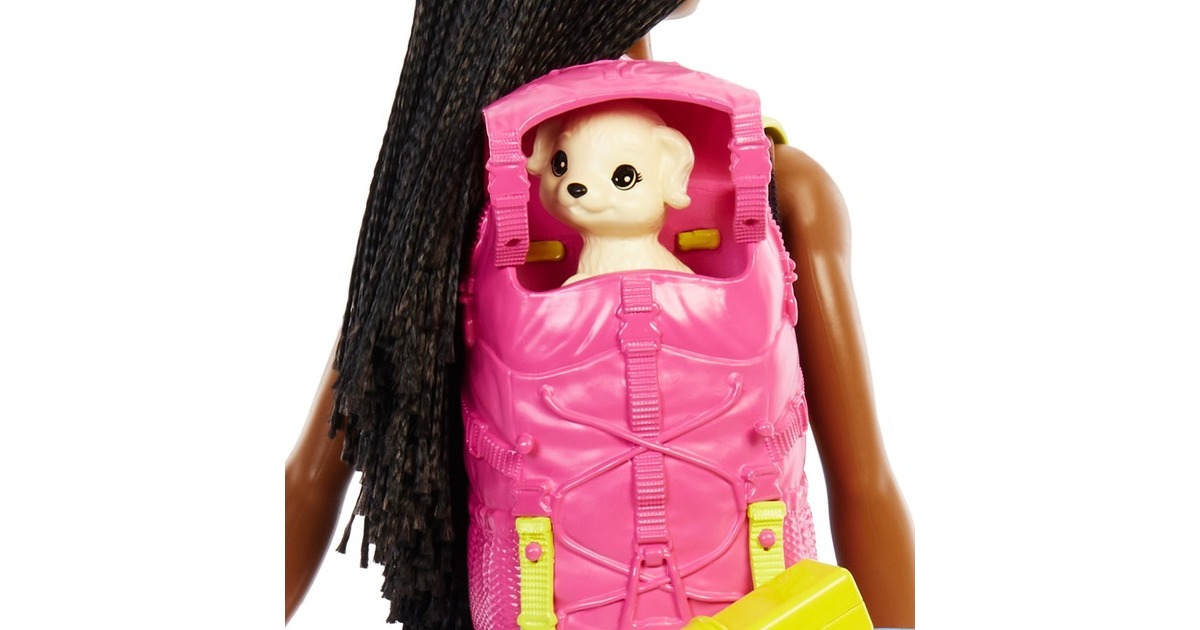 Mattel Barbie “It takes two! Camping” Spielset mit Brooklyn Puppe, Hündchen und Accessoires