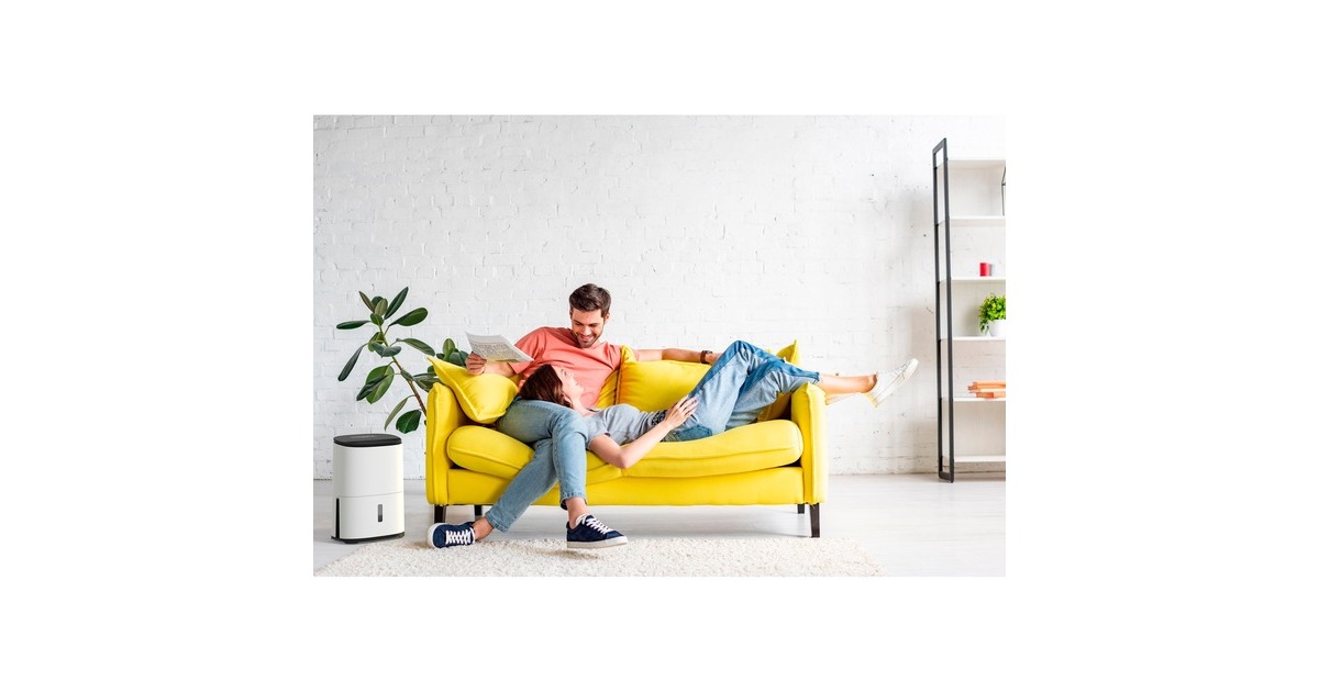 Meaco Dry Arete One 12L Kompressor-Luftentfeuchter und Luftreiniger(weiß, 151 Watt, für Räume bis zu 55m²)