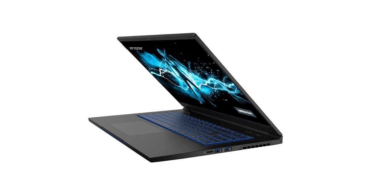 Medion ERAZER Beast X25 (30034140), Gaming-Notebook(schwarz, Windows 10 Home 64-Bit, 43.9 cm (17.3 Zoll) & 240 Hz Display, 1 TB SSD)