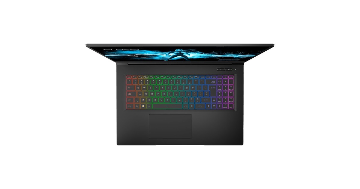 Medion ERAZER Beast X30 (30033748), Gaming-Notebook(schwarz, Windows 11 Home 64-BIt, 43.9 cm (17.3 Zoll) & 165 Hz Display, 1 TB SSD)