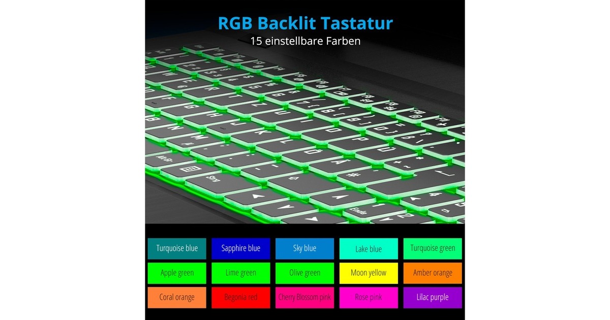 Medion ERAZER Crawler E25 (MD62326), Gaming-Notebook(schwarz, Windows 11 Home 64-Bit, 39.6 cm (15.6 Zoll) & 144 Hz Display, 512 GB SSD)