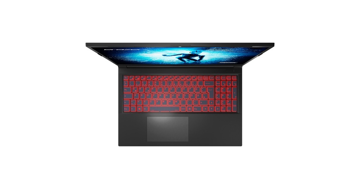 Medion ERAZER Deputy P25 (30034141), Gaming-Notebook(schwarz, Windows 11 Home 64-Bit, 39.6 cm (15.6 Zoll) & 144 Hz Display, 512 GB SSD)