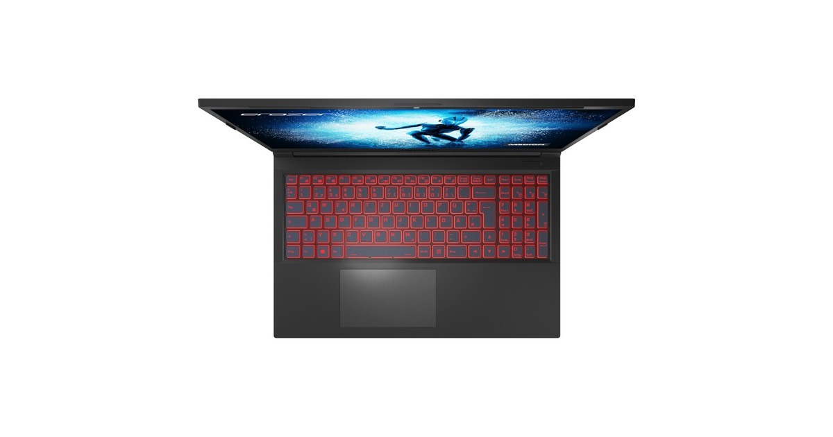 Medion ERAZER Deputy P30 (MD62393), Gaming-Notebook(schwarz, Windows 11 Home 64-Bi, 39.6 cm (15.6 Zoll) & 144 Hz Display, 1 TB SSD)