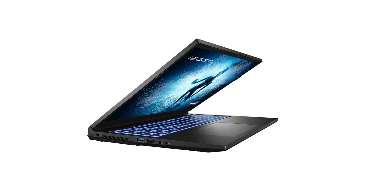 Medion ERAZER Specialist P10 (30033735), Gaming-Notebook(schwarz, Windows 11 Home 64-Bit, 40.6 cm (16 Zoll) & 165 Hz Display, 1 TB SSD)