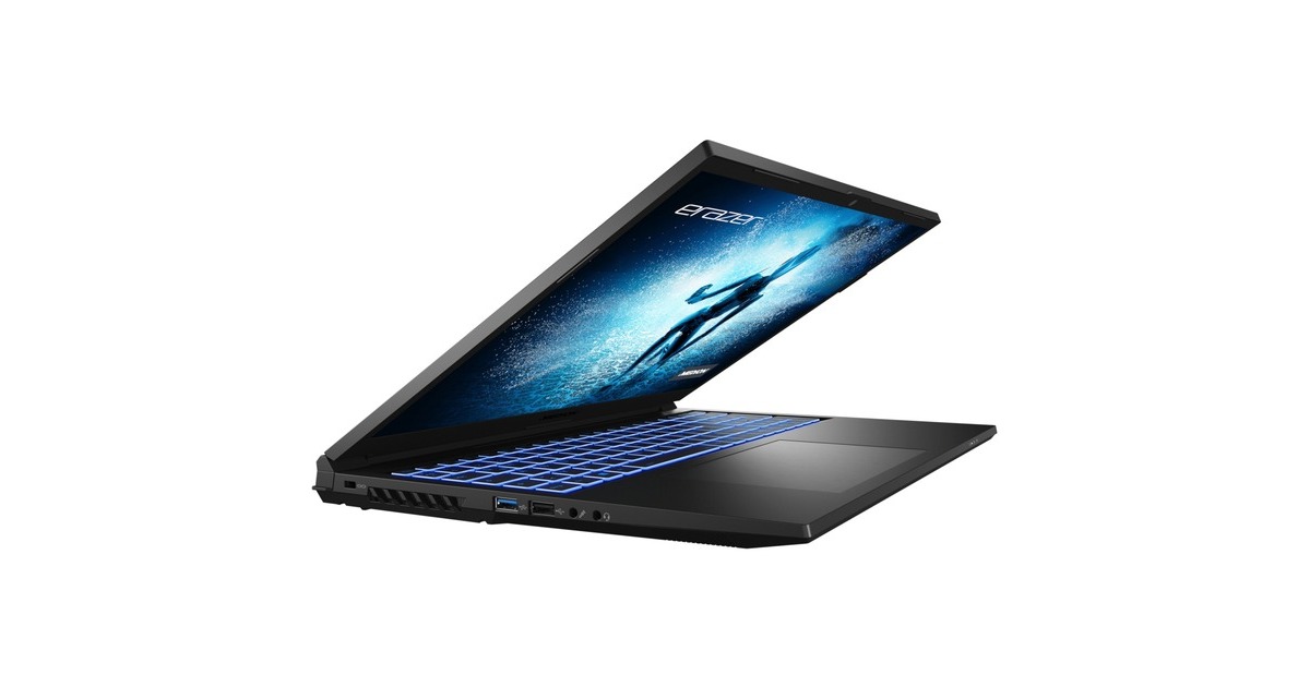 Medion ERAZER Specialist P10 (MD62434), Gaming-Notebook(schwarz, Windows 11 Home 64-Bit, 40.6 cm (16 Zoll) & 165 Hz Display, 512 GB SSD)