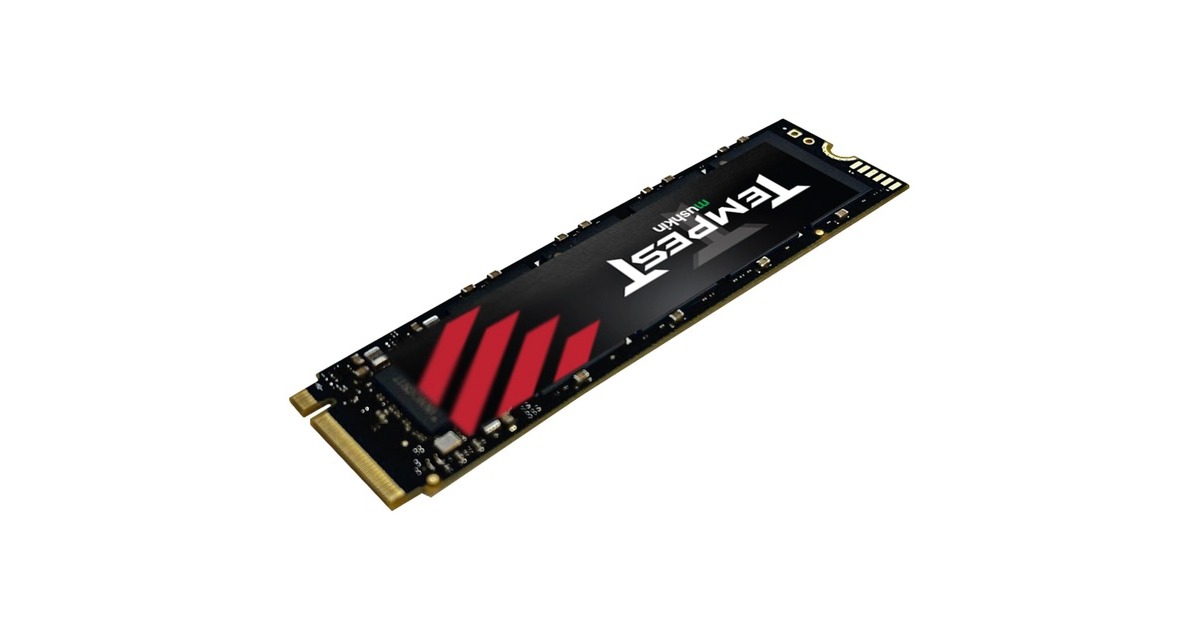 Mushkin Tempest 256 GB, SSD(schwarz, PCIe 3.0 x4, NVMe 1.4, M.2 2280)