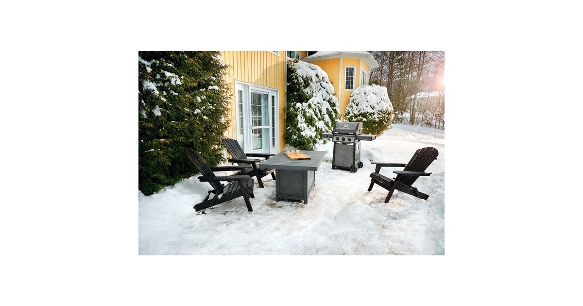 Napoleon Gasgrill Freestyle 365 SB Graphit, mit Seitenbrenner(graphit/schwarz)