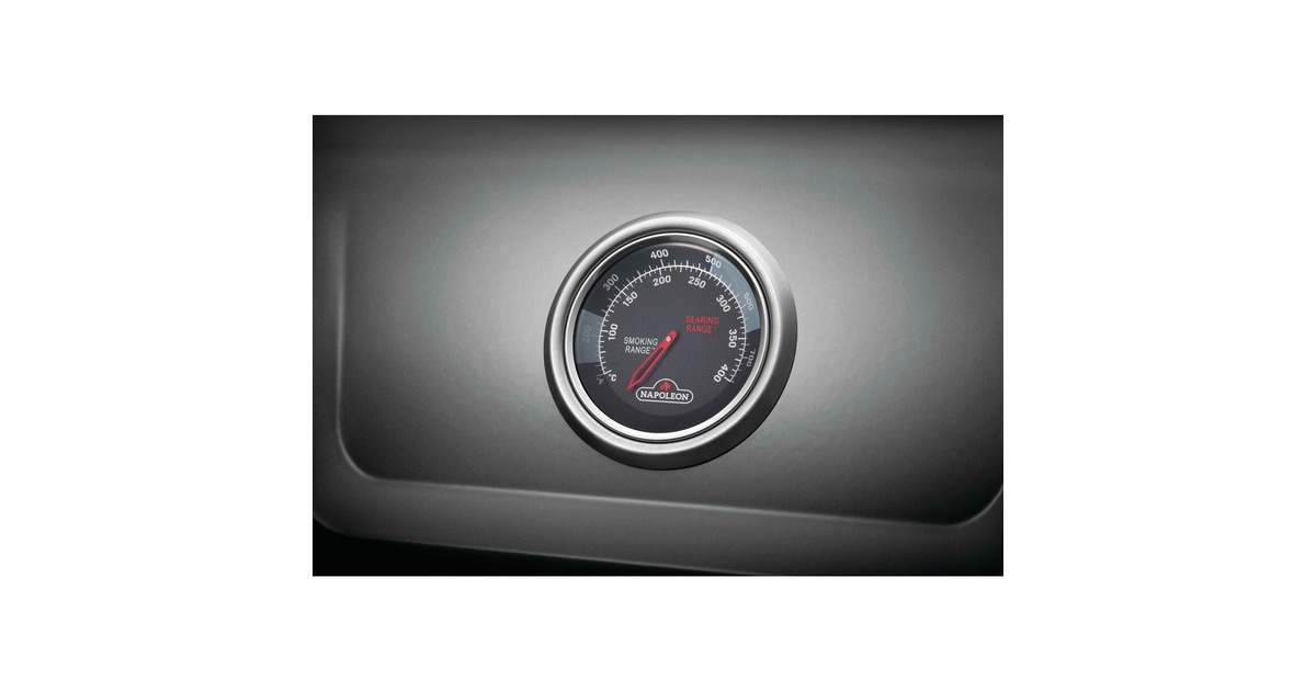 Napoleon Gasgrill Freestyle 365 SB Graphit, mit Seitenbrenner(graphit/schwarz)