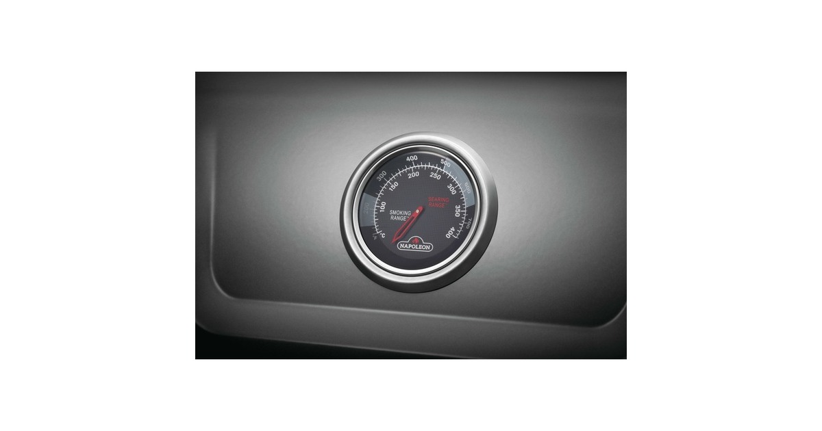 Napoleon Gasgrill Freestyle 425 SIB Graphit 