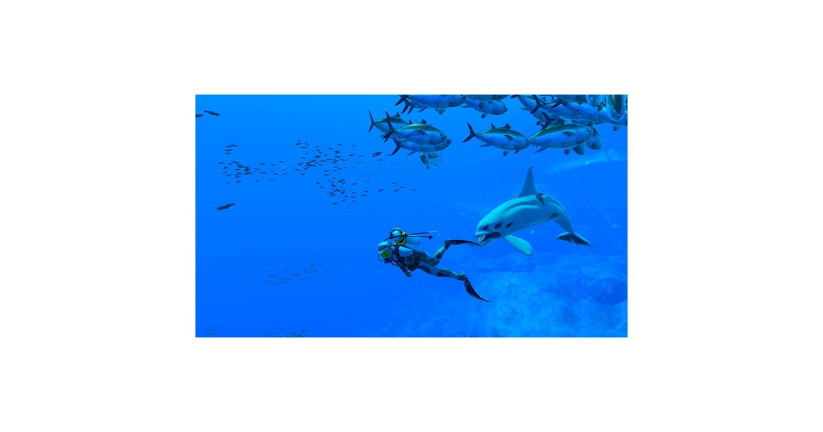 Nintendo Endless Ocean Luminous, Nintendo Switch-Spiel