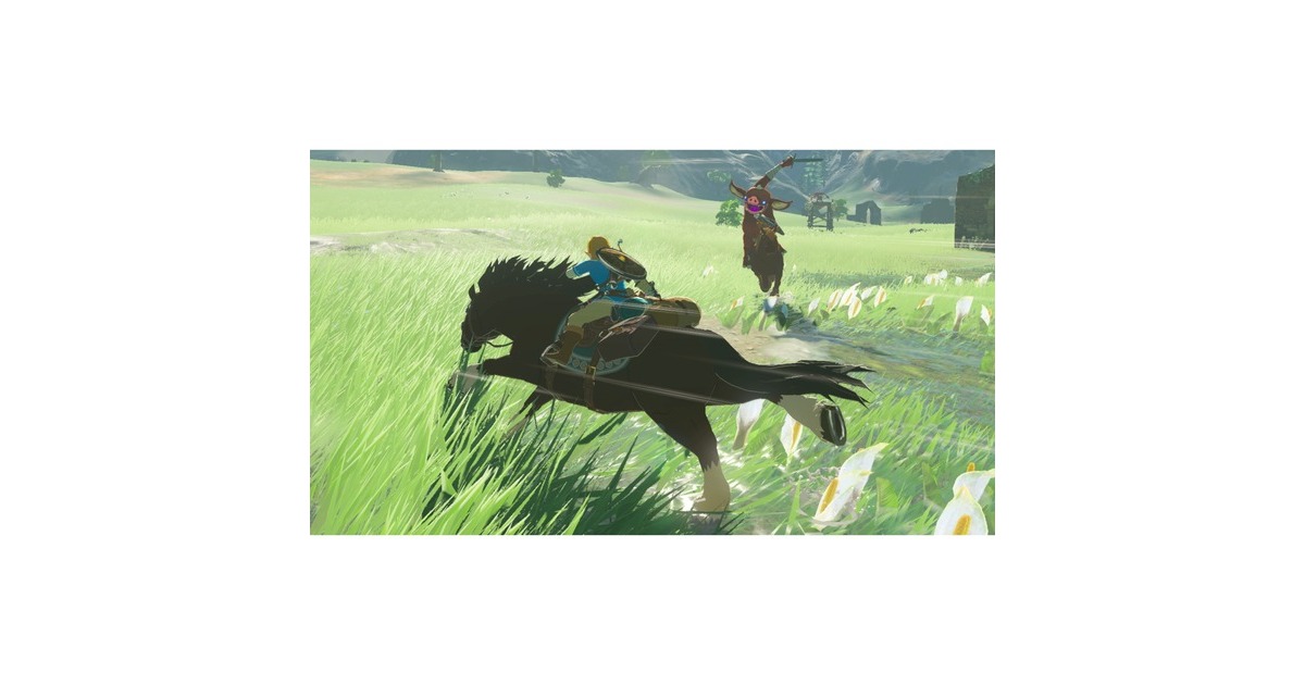 Nintendo The Legend of Zelda: Breath of the Wild, Nintendo Switch-Spiel